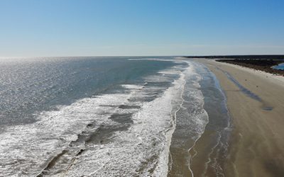 S.C. Sea Grant Awarded Over $400,000 to Study Contaminants of Emerging Concern and Climate Change
