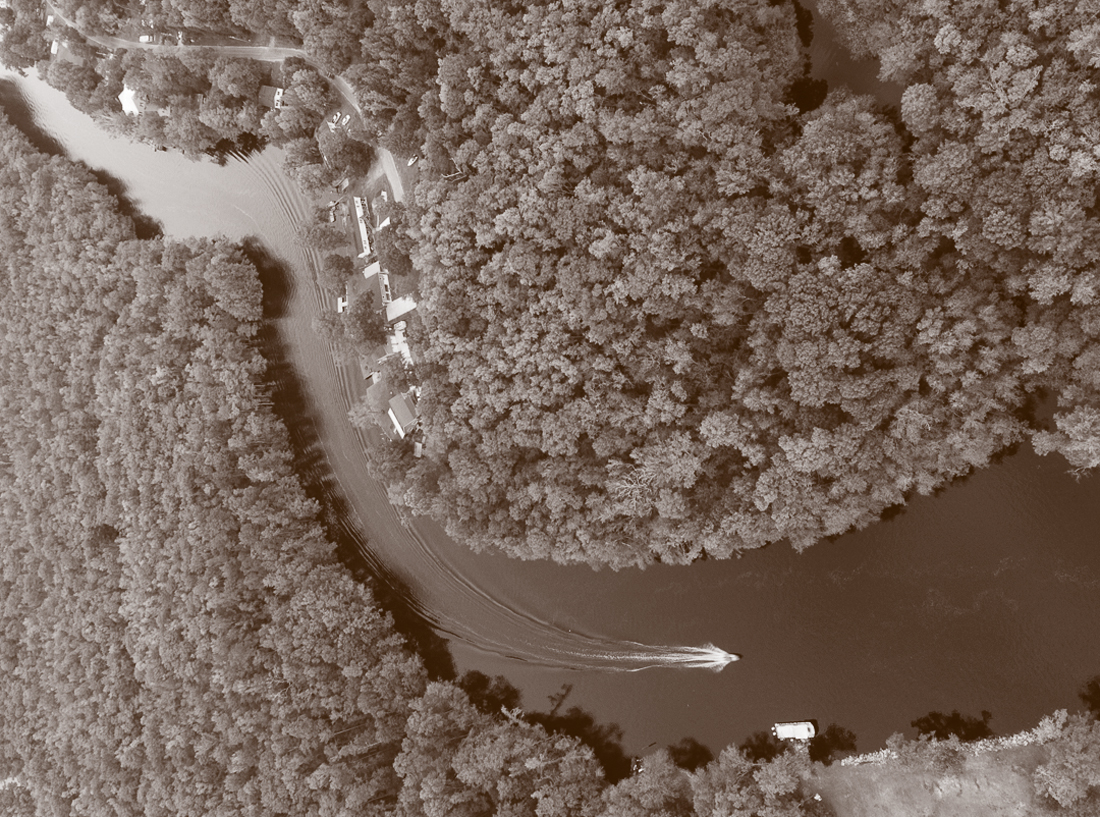 An aerial image of a tidal creek and surrounding forest.