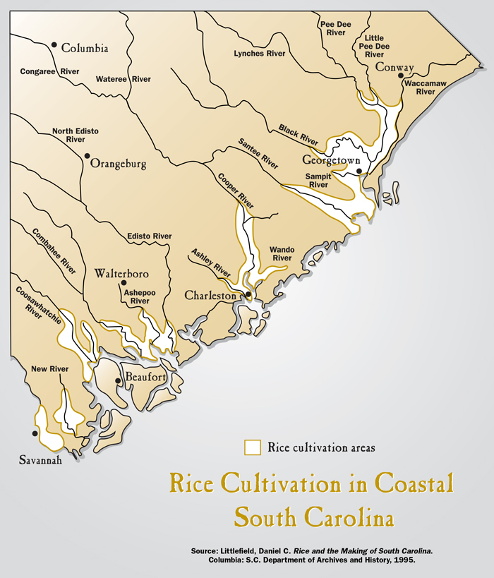 A map of the Lowcountry shows rice cultivation areas along many coastal rivers.