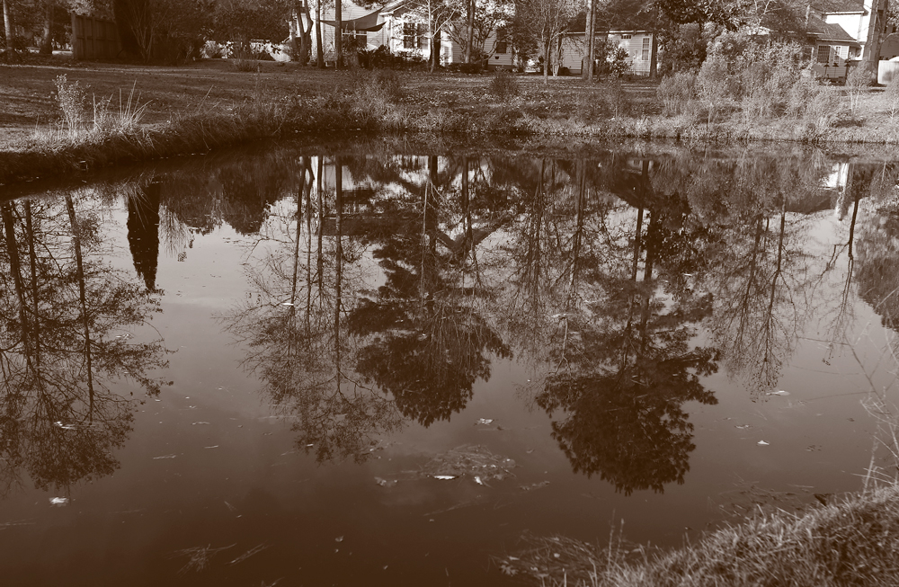 A stormwater pond.