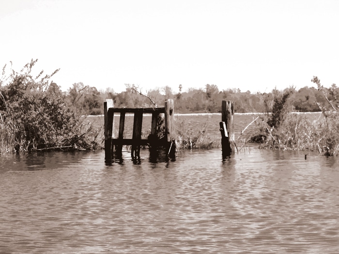 A series of wooden posts at the edge of a pond.