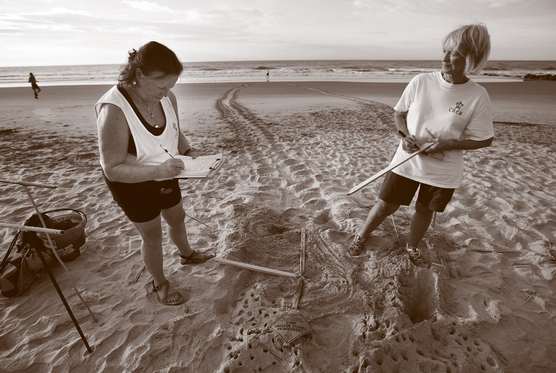 Two volunteers record data about turtle nests on the beach.