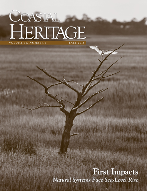 Cover of the Fall 2018 issue showing a bird on a dead tree in a marsh.