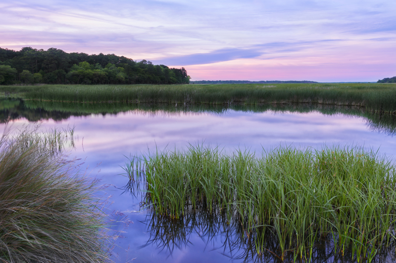 A tidal creek and marsh at sunset.