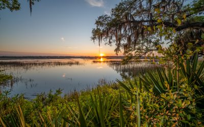 S.C. Sea Grant Releases FY2024-2025 Request for Proposals