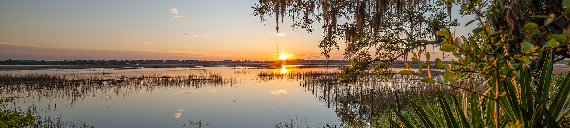 A salt marsh tidal creek with the sun setting over the water, trees and plants in the foreground.