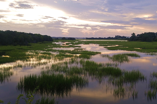 Marsh in the evening at high tide.