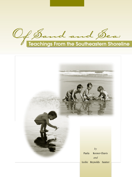 Of Sand and Sea: Teachings From the Southeastern Shoreline