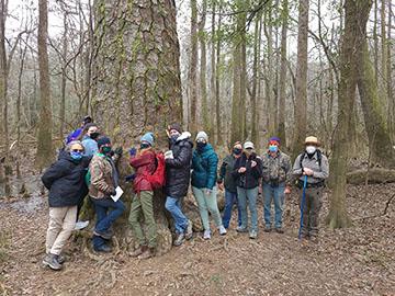 PEEC Group with Loblolly Pine.