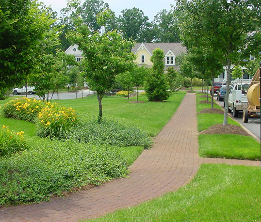 A neighborhood with plants and trees, and a brick pathway.