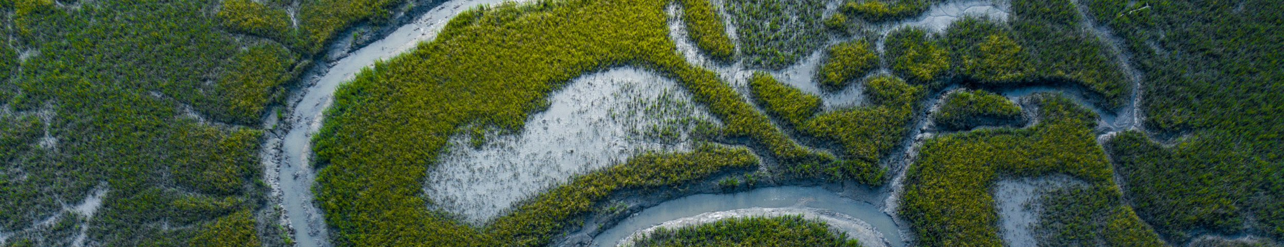 A winding tidal creek surrounded by green marshland viewed from above.
