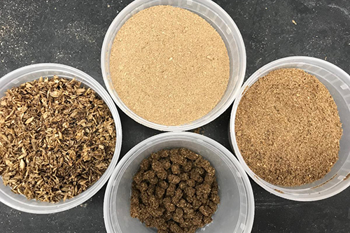 Four containers of different kinds of grains.