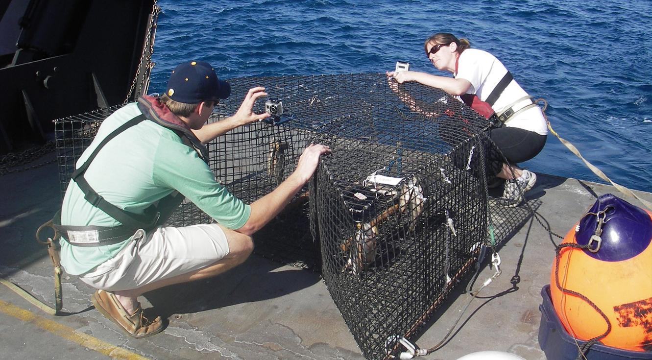 Baited chevron trap with camera attached to the top of the trap prior to deployment on the US Atlantic seabed. Credit: NOAA Fisheries.