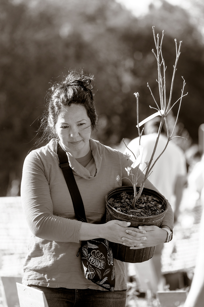 A woman carriers a large plant in a plastic gardening pot.