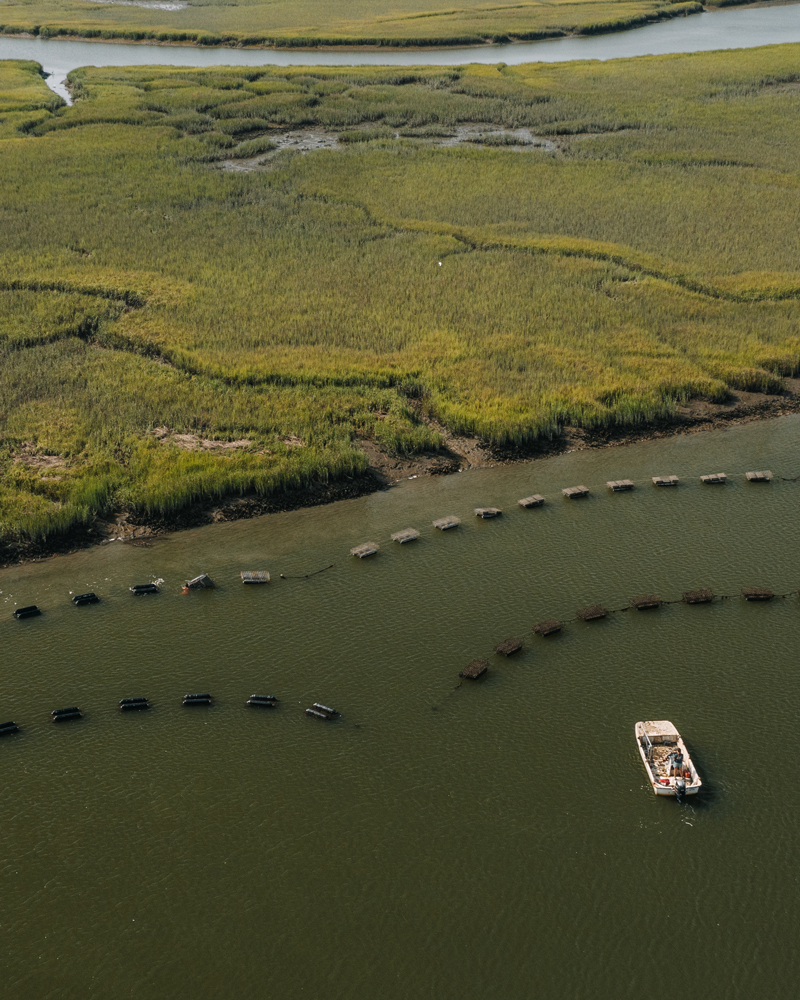 An aerial view of a salt marsh creek with rows of oyster cages and a boat.