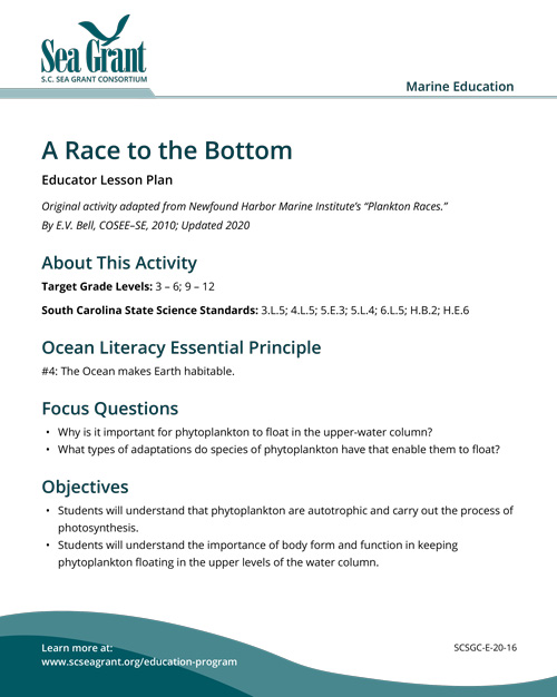 A Race to the Bottom Educator Lesson Plan