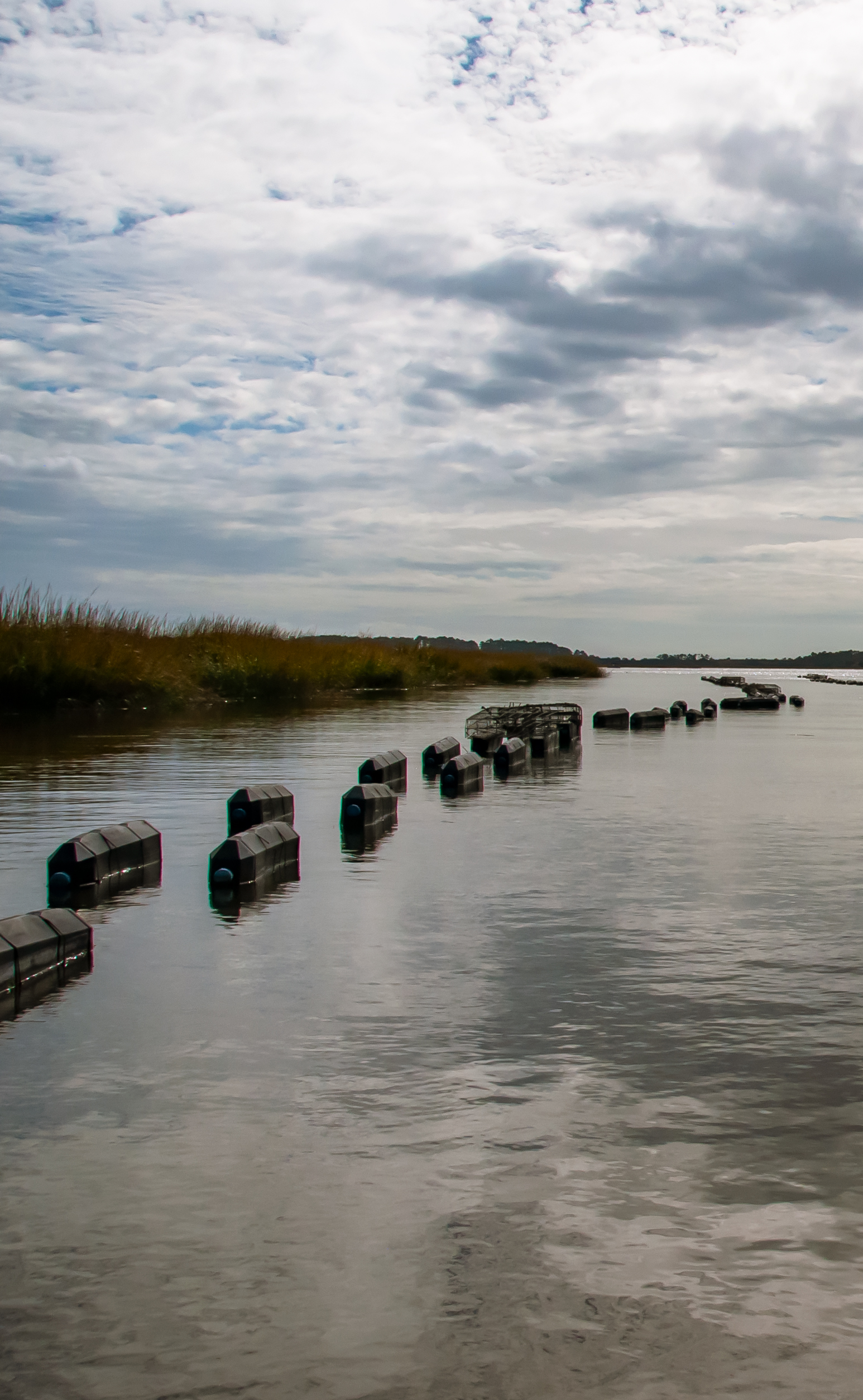 A row of floating oyster cages in a tidal creek.
