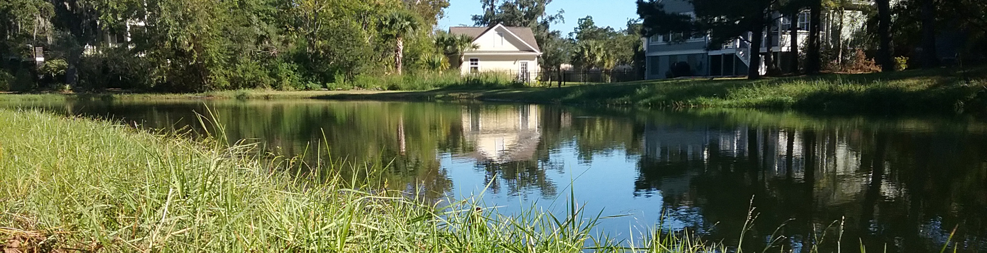 A stormwater pond with houses in the background.