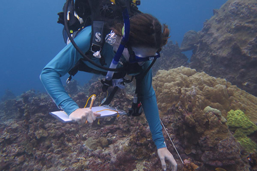 Student diving underwater.