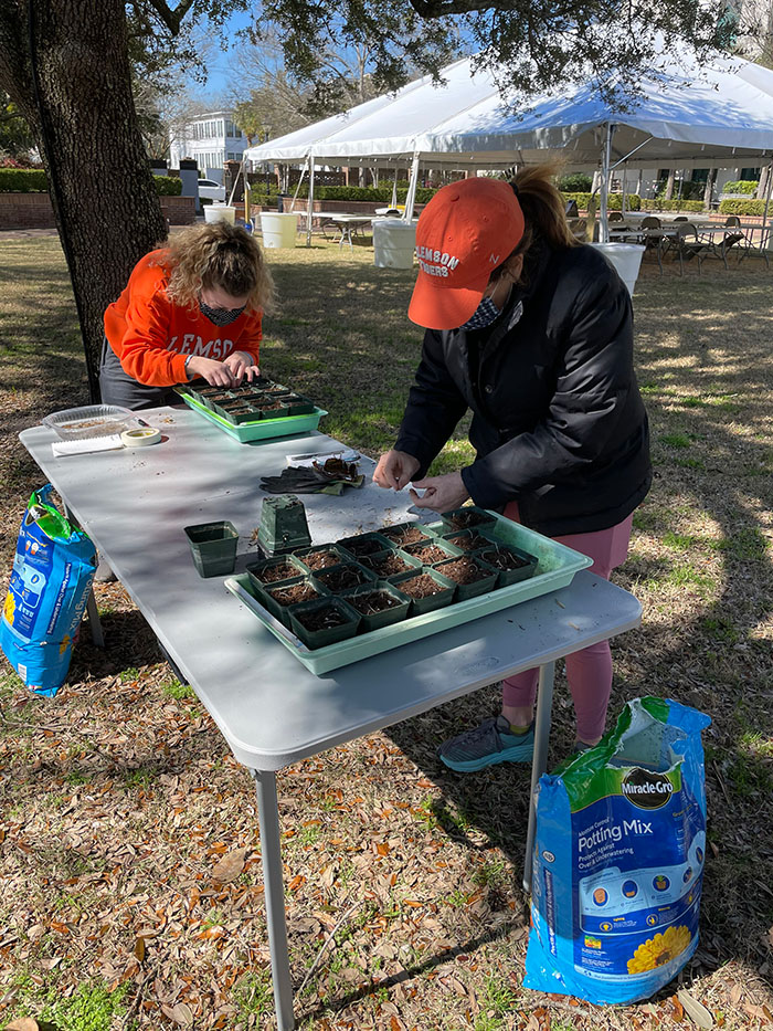 Two volunteers work at a table planting seeds in small pots.